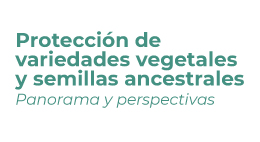 Seminario Protección de variedades vegetales y semillas ancestrales: Panorama y perspectivas
