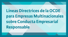 Seminario: Líneas directrices de la OCDE para empresas multinacionales sobre conducta empresarial responsable