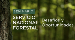 Seminario: Servicio Nacional Forestal. Desafíos y oportunidades