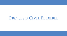 Charla: Proceso civil flexible