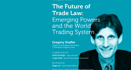 The Future of Trade Law: Emerging Powers and the World Trading System