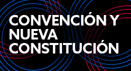 Primera Sesión Convención y Nueva Constitución: Coloquios Virtuales sobre el Reglamento