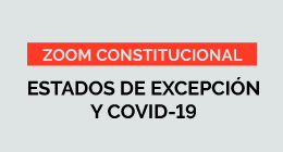 Zoom Constitucional: Estados de Excepción y Covid-19