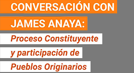 Conversación con James Anaya: Proceso Constituyente y participación de Pueblos Originarios