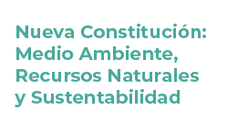 Nueva Constitución: Medio Ambiente, Recursos Naturales y Sustentabilidad