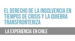 Seminario: El Derecho de la Insolvencia en Tiempos de Crisis y la Quiebra Transfronteriza. La Experiencia en Chile