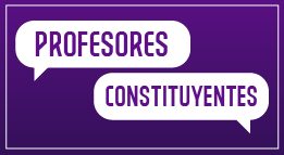 Foro Constitucional UC: Profesores Constituyentes