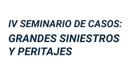 IV Seminario de Casos: Grandes siniestros y peritajes