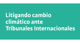 Litigando cambio climático ante Tribunales Internacionales