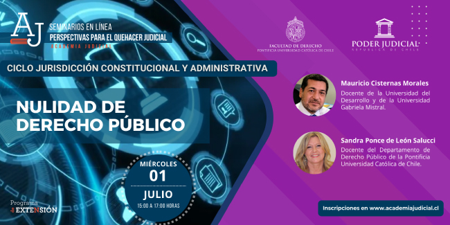 Nulidad de derecho público Afiche