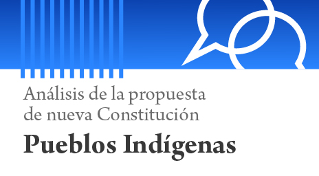 Foro Constitucional presentó documento que analiza las normas del proyecto de nueva Constitución sobre pueblos indígenas 
