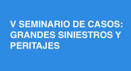 V Seminario de Casos: Grandes siniestros y peritajes 