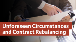 Seminario Unforeseen Circumstances and Contract Rebalancing