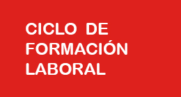 Ciclo de Formación Laboral: Organizaciones Sindicales y Prácticas Antisindicales