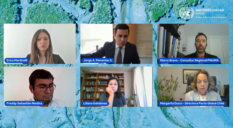 En el marco del Día Mundial del Agua profesor Jorge Femenías expuso en conversatorio organizado por la ONU