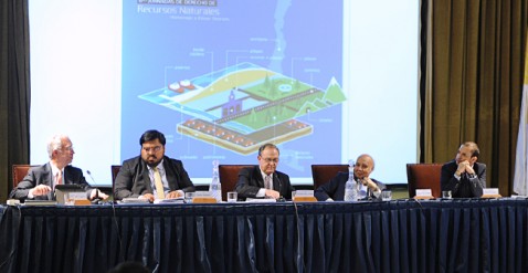 panel-478×247