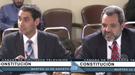 soto_concha_constitucion