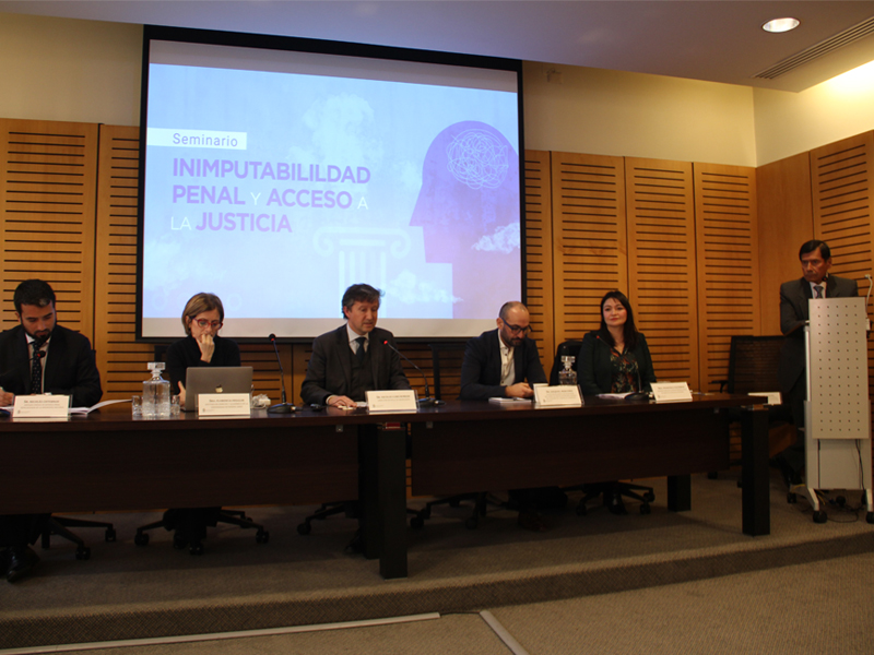 Seminario_Inimputabilidad_penal_y_acceso_a_la_justicia