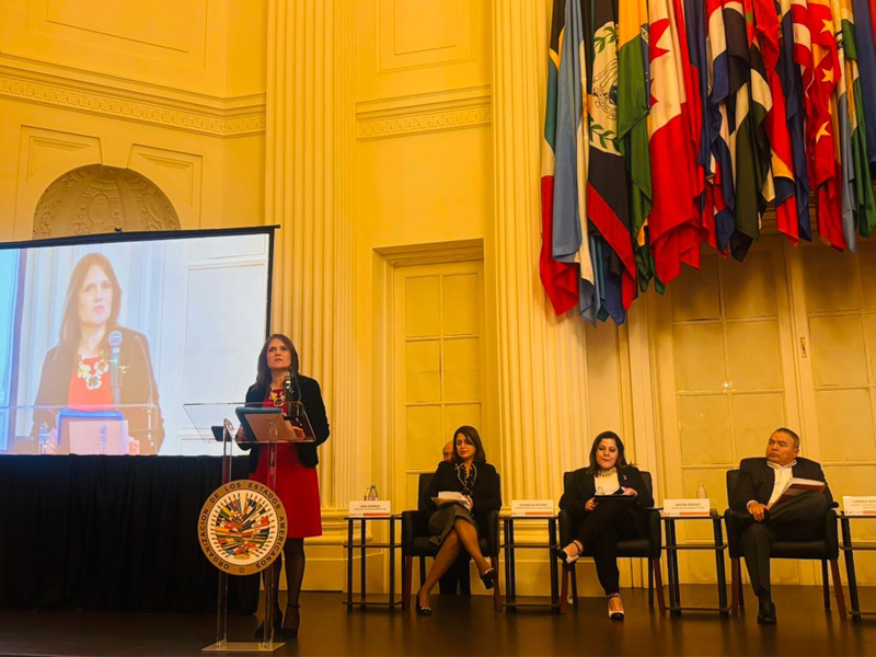 Carmen_Domínguez_H_en_la_OEA_2024