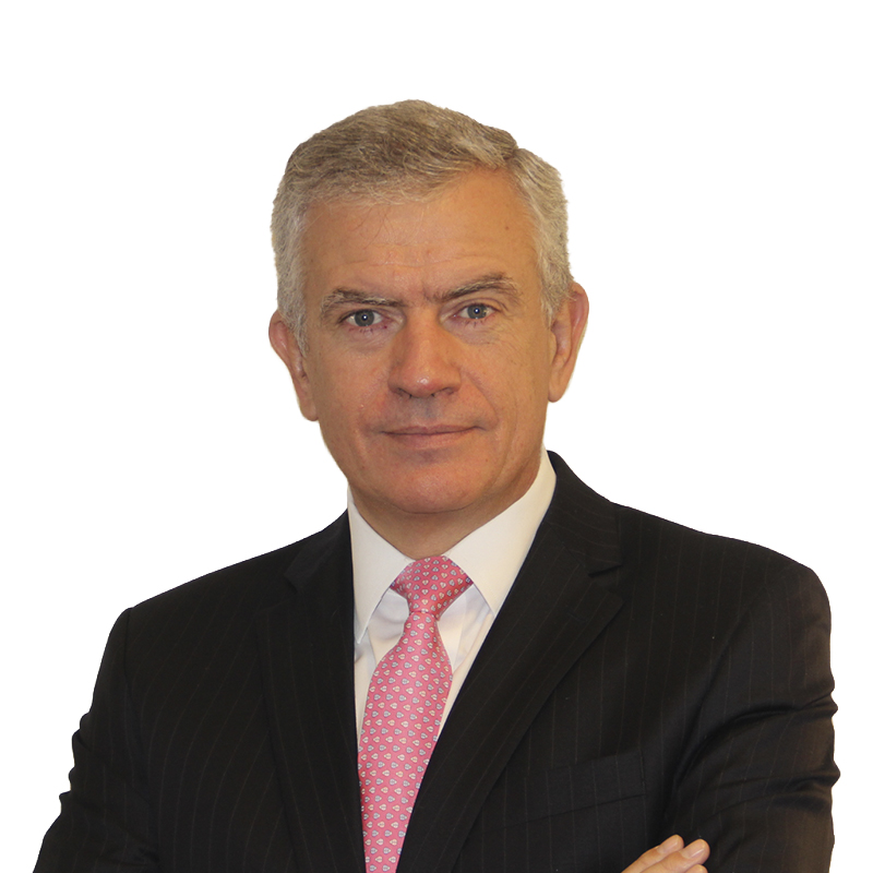 Rodrigo Ochagavia 800×800