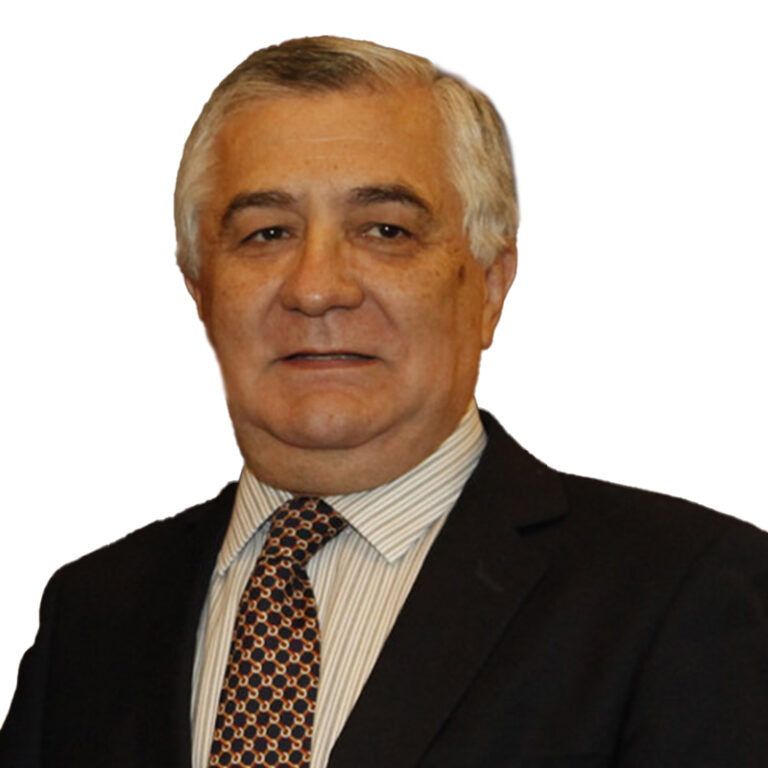 Patricio Elgueta Adrovez