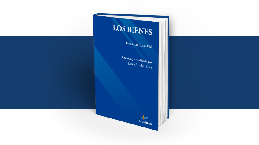 Lanzamiento del libro Los Bienes