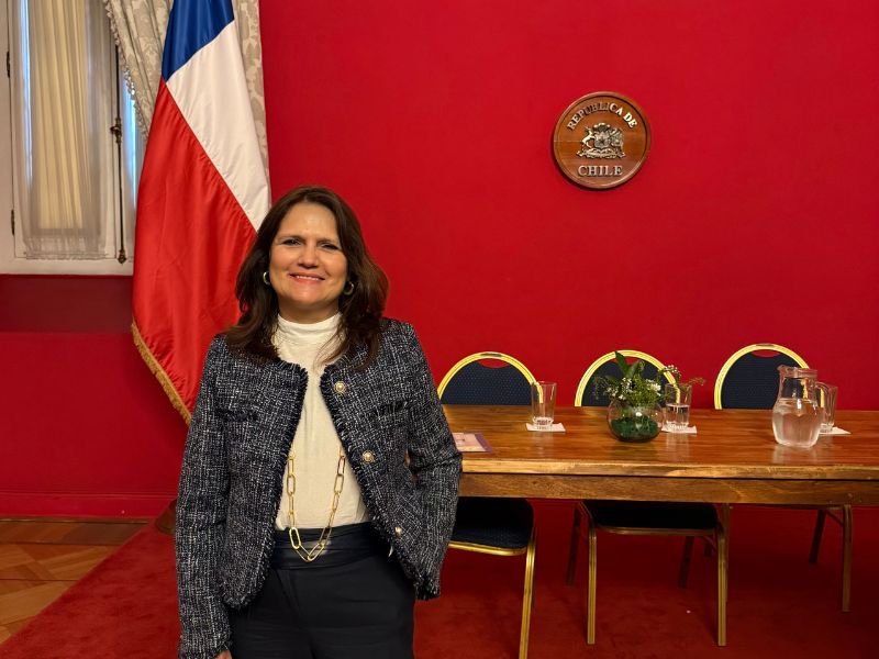 Profesora Carmen Domínguez Hidalgo expone sobre gestación subrogada en seminario realizado en La Moneda